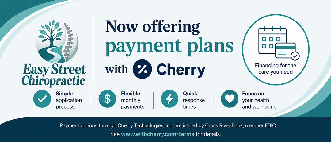 payment options banner